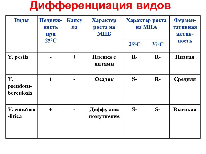 Дифференциация видов Виды Подвиж- Капсу ность ла при 250 С Характер роста на МПБ