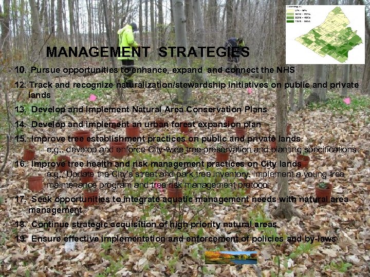 MANAGEMENT STRATEGIES 10. Pursue opportunities to enhance, expand connect the NHS 12. Track and