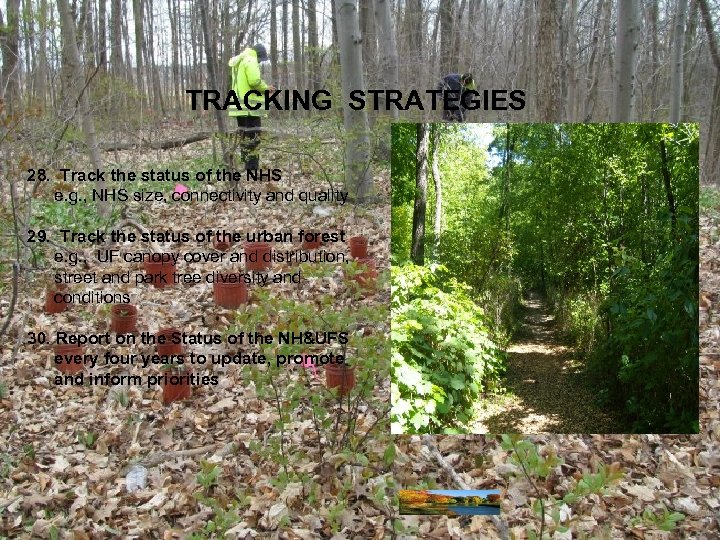 TRACKING STRATEGIES 28. Track the status of the NHS e. g. , NHS size,