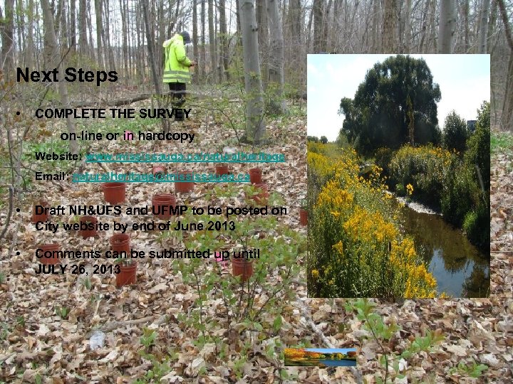 Next Steps • COMPLETE THE SURVEY on-line or in hardcopy Website: www. mississauga. ca/naturalheritage