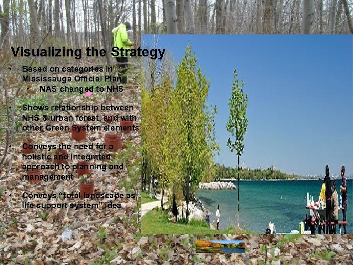 Visualizing the Strategy • Based on categories in Mississauga Official Plan • NAS changed