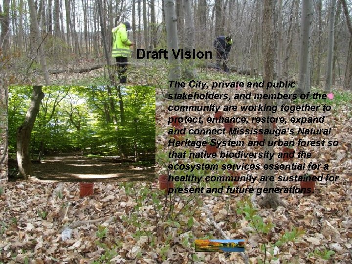 Draft Vision The City, private and public stakeholders, and members of the community are
