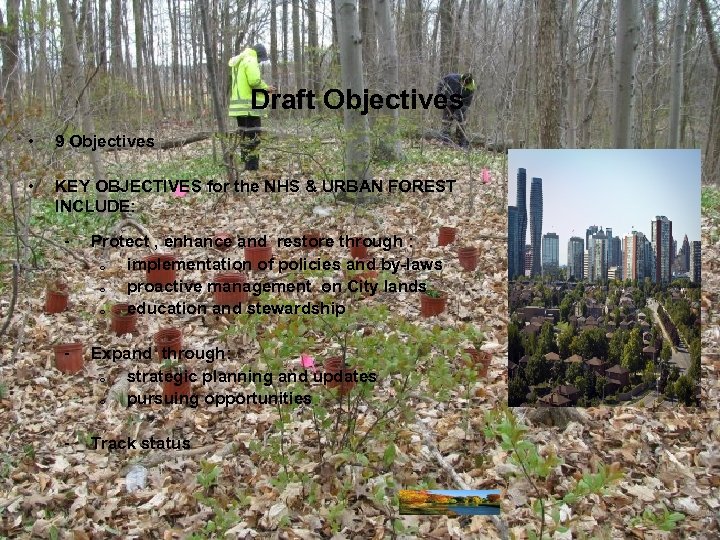 Draft Objectives • 9 Objectives • KEY OBJECTIVES for the NHS & URBAN FOREST