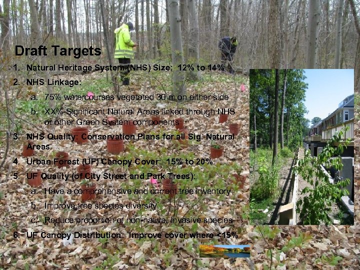 Draft Targets 1. Natural Heritage System (NHS) Size: 12% to 14% 2. NHS Linkage: