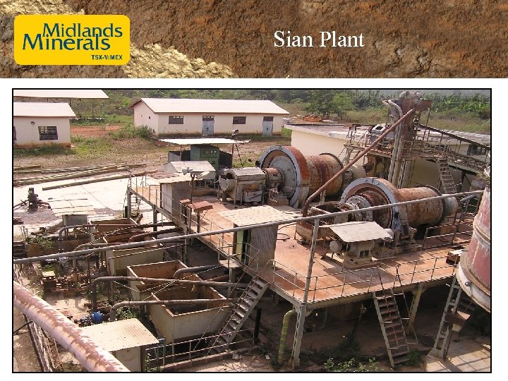 Sian Plant 