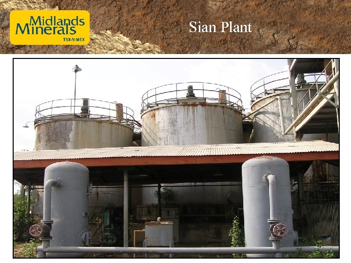 Sian Plant 