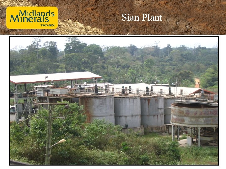 Sian Plant 