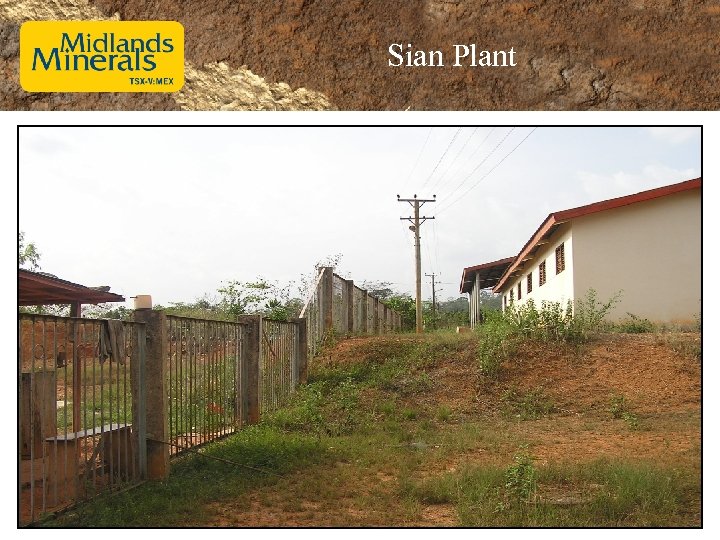 Sian Plant 