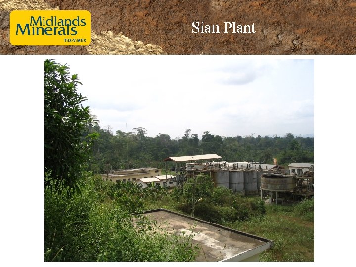 Sian Plant 