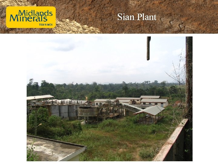 Sian Plant 