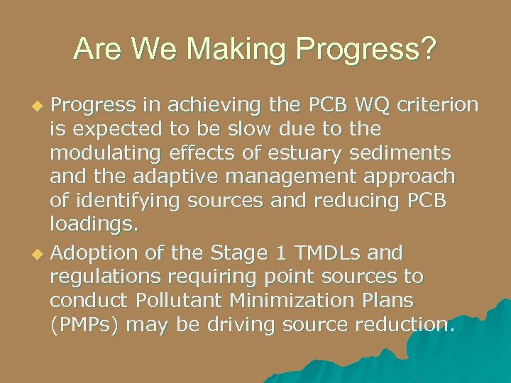 Are We Making Progress? Progress in achieving the PCB WQ criterion is expected to