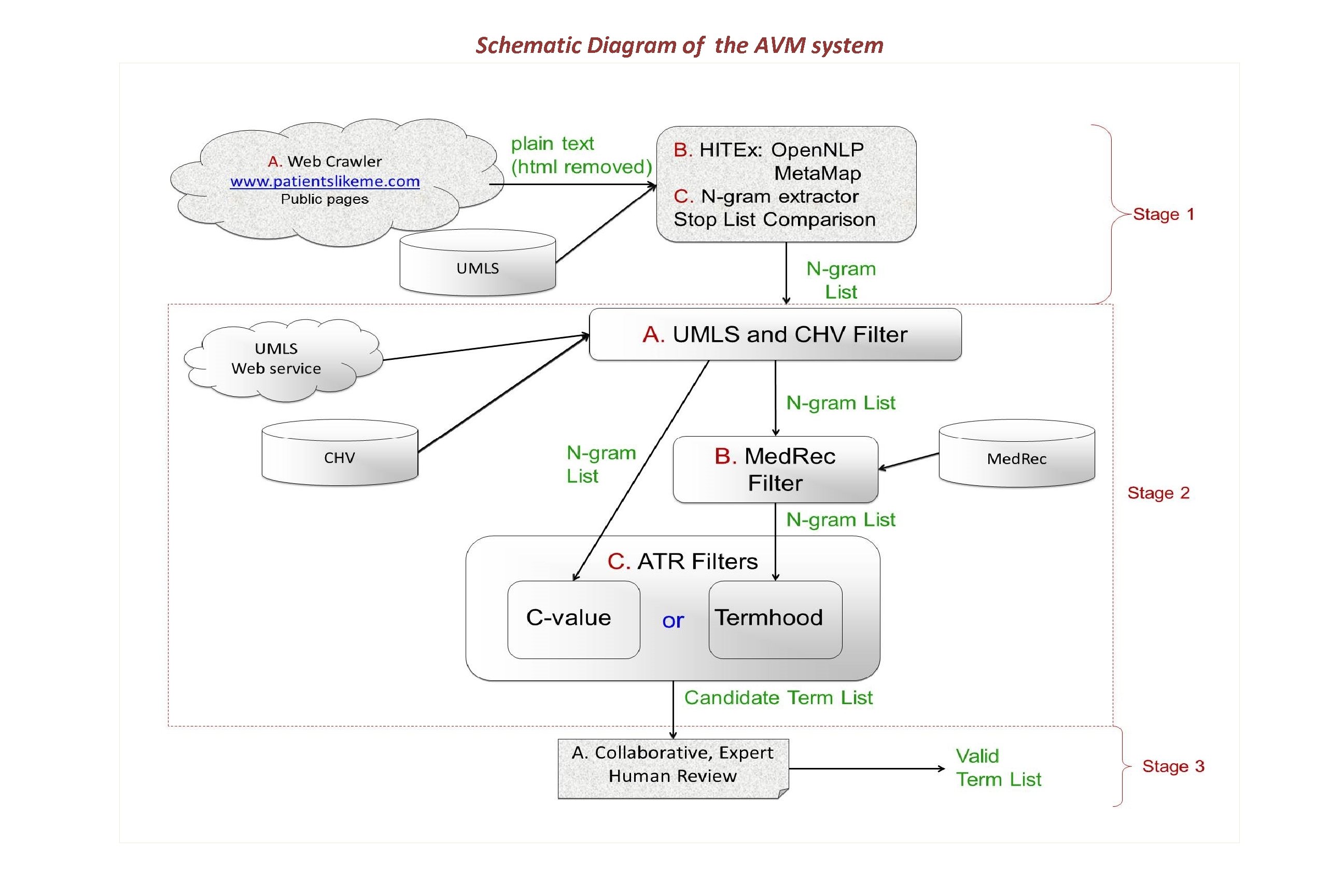 Schematic Diagram of the AVM system 