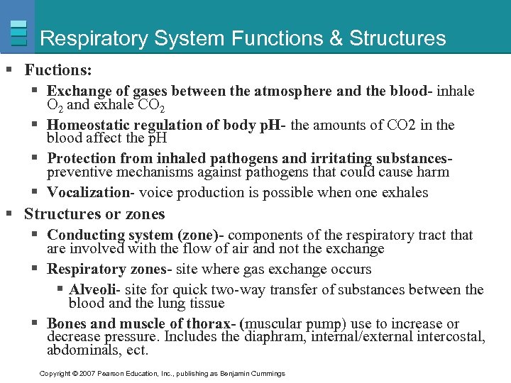 Respiratory System Functions & Structures § Fuctions: § Exchange of gases between the atmosphere