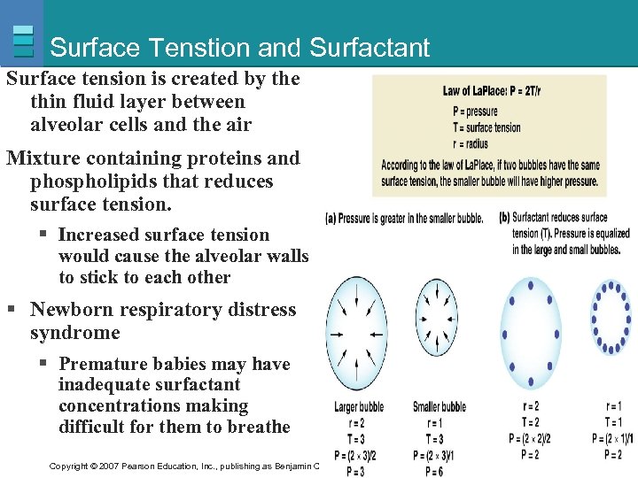 Surface Tenstion and Surfactant Surface tension is created by the thin fluid layer between