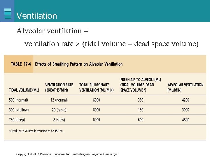 Ventilation Alveolar ventilation = ventilation rate (tidal volume – dead space volume) Copyright ©