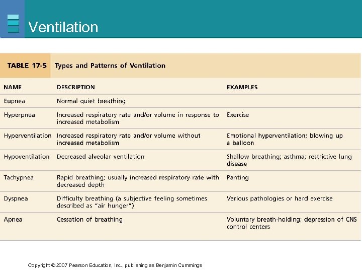 Ventilation Copyright © 2007 Pearson Education, Inc. , publishing as Benjamin Cummings 