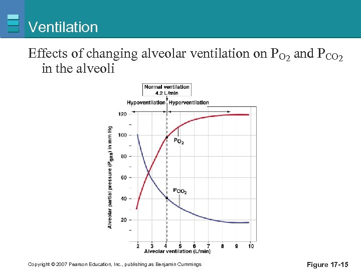 Ventilation Effects of changing alveolar ventilation on PO 2 and PCO 2 in the