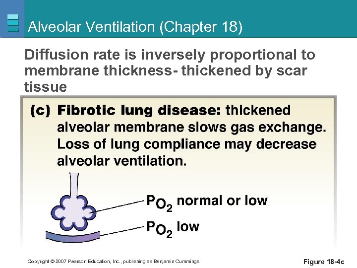 Alveolar Ventilation (Chapter 18) Diffusion rate is inversely proportional to membrane thickness- thickened by