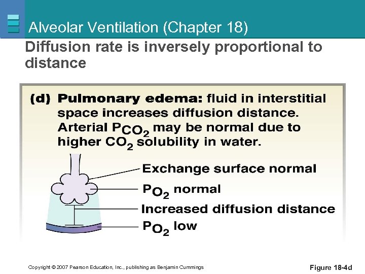 Alveolar Ventilation (Chapter 18) Diffusion rate is inversely proportional to distance Copyright © 2007