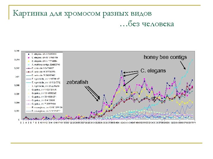 Картинка для хромосом разных видов …без человека honey bee contigs C. elegans zebrafish X