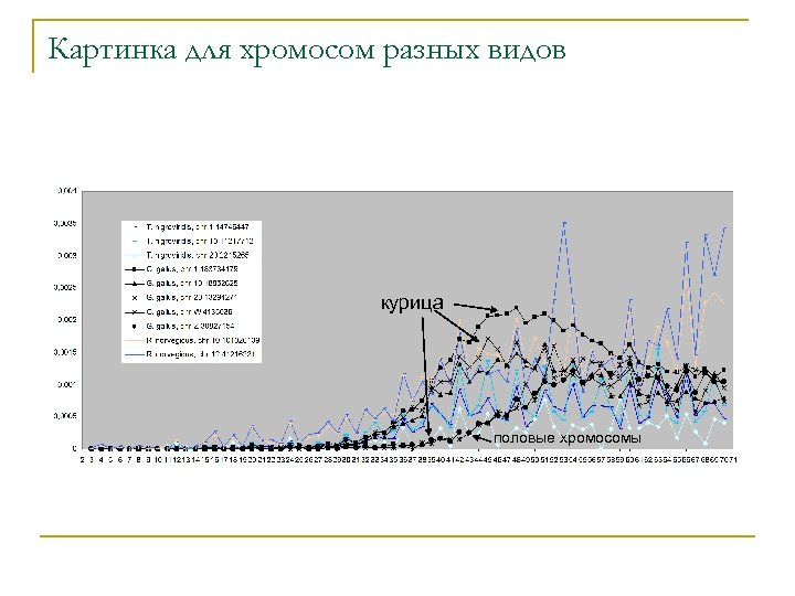 Картинка для хромосом разных видов курица половые хромосомы 