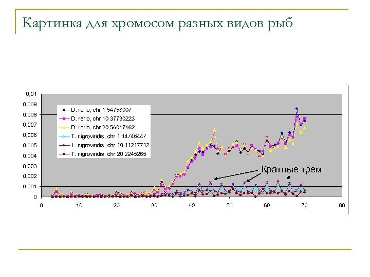 Картинка для хромосом разных видов рыб Кратные трем 