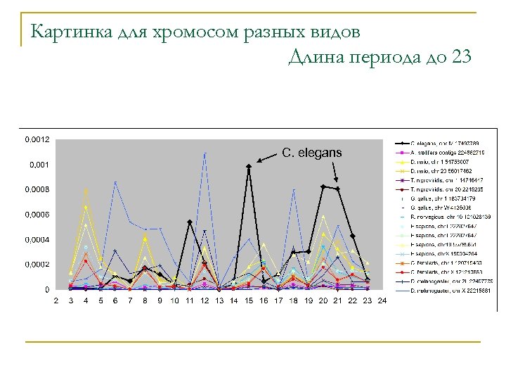 Картинка для хромосом разных видов Длина периода до 23 C. elegans 