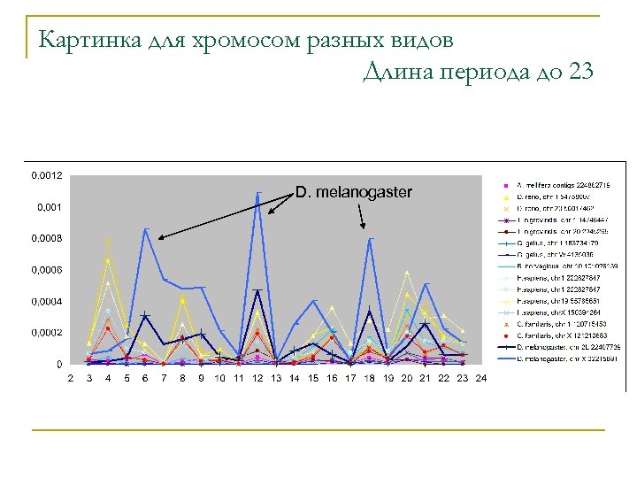 Картинка для хромосом разных видов Длина периода до 23 D. melanogaster 