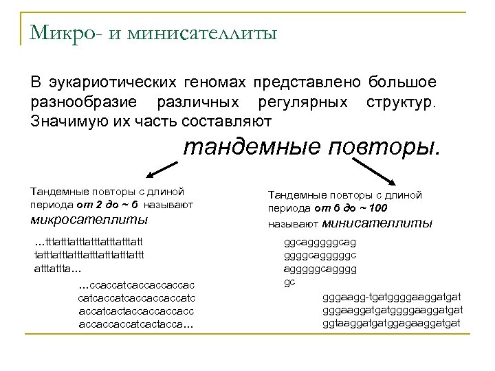 Микро- и минисателлиты В эукариотических геномах представлено большое разнообразие различных регулярных структур. Значимую их
