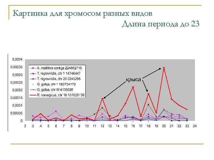 Картинка для хромосом разных видов Длина периода до 23 крыса 