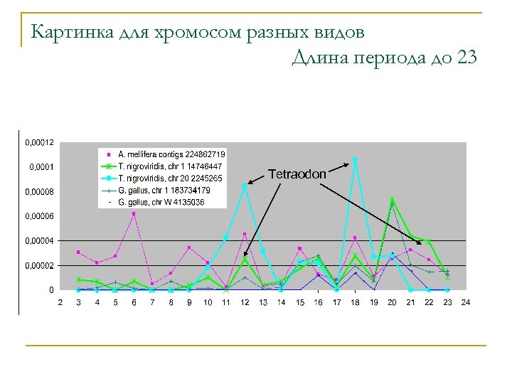 Картинка для хромосом разных видов Длина периода до 23 Tetraodon 