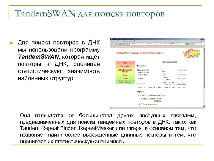 Tandem. SWAN для поиска повторов n Для поиска повторов в ДНК мы использовали программу