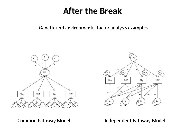 After the Break Genetic and environmental factor analysis examples Common Pathway Model Independent Pathway