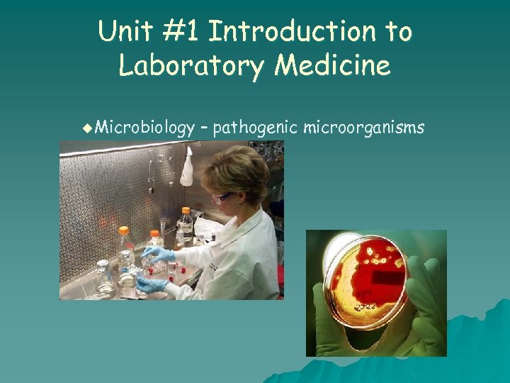 Unit #1 Introduction to Laboratory Medicine u Microbiology – pathogenic microorganisms 