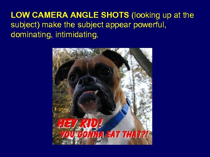 LOW CAMERA ANGLE SHOTS (looking up at the subject) make the subject appear powerful,