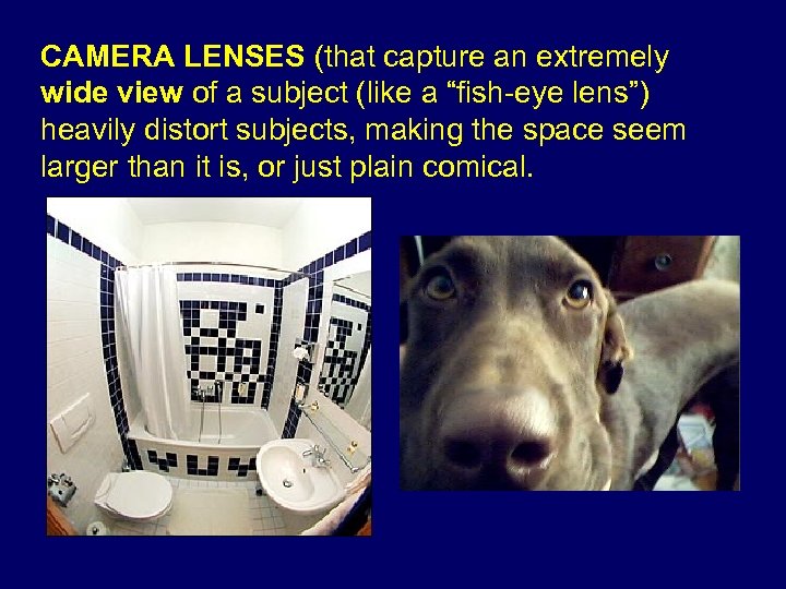 CAMERA LENSES (that capture an extremely wide view of a subject (like a “fish-eye