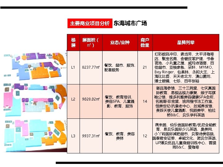 主要商业项目分析 东海城市广场 楼 层 L 1 L 2 L 3 层面积（ ㎡） 8237. 77㎡