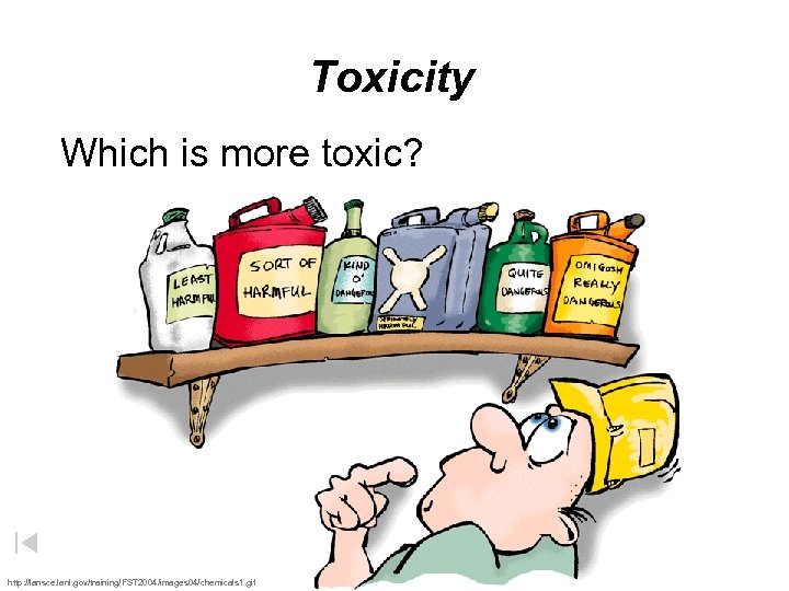 Toxicity Which is more toxic? http: //lansce. lanl. gov/training/FST 2004/images 04/chemicals 1. gif 
