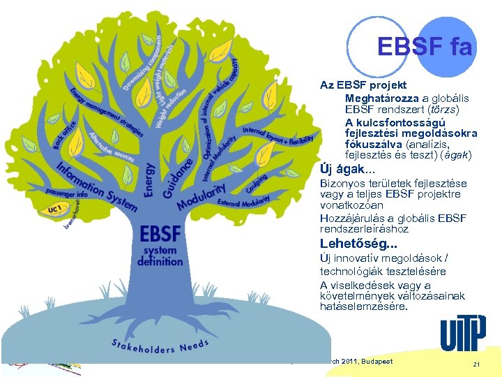 EBSF fa Az EBSF projekt Meghatározza a globális EBSF rendszert (törzs) A kulcsfontosságú fejlesztési