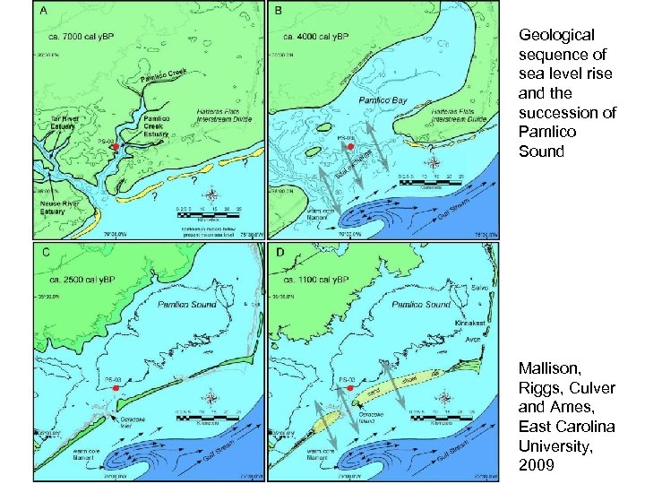 Geological sequence of sea level rise and the succession of Pamlico Sound Mallison, Riggs,