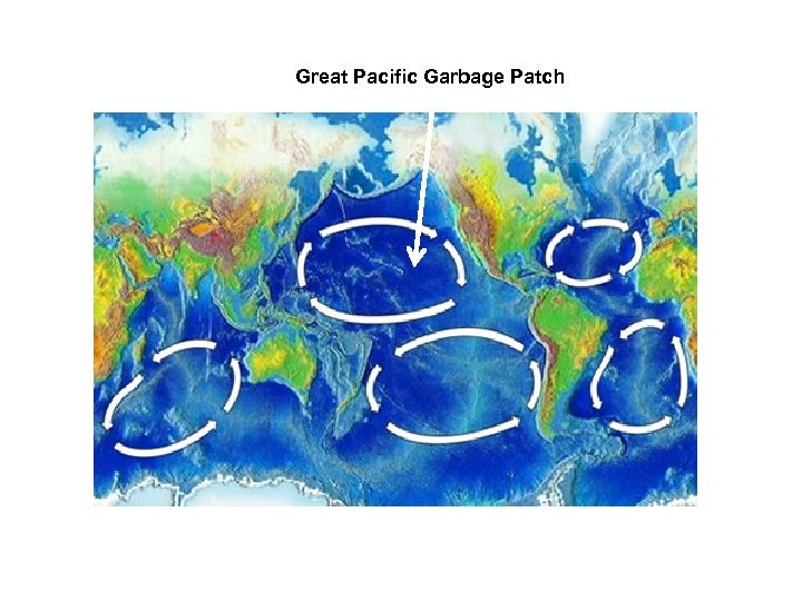 Great Pacific Garbage Patch 