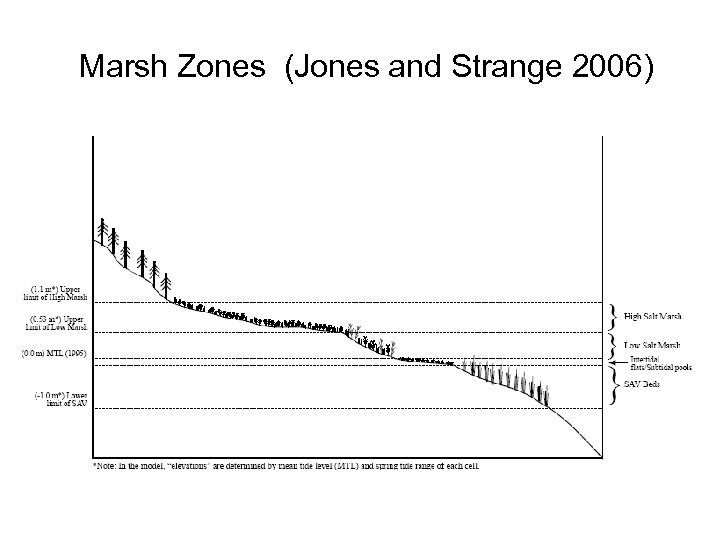 Marsh Zones (Jones and Strange 2006) 