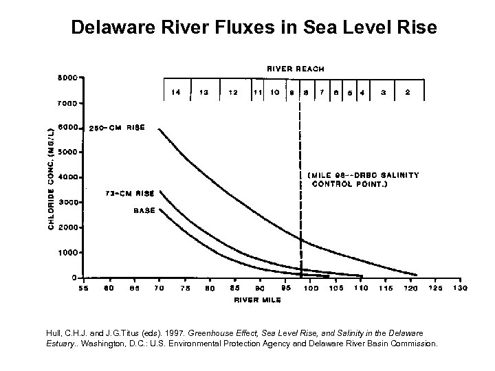 Delaware River Fluxes in Sea Level Rise Hull, C. H. J. and J. G.