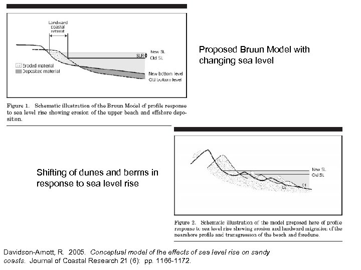 Proposed Bruun Model with changing sea level Shifting of dunes and berms in response