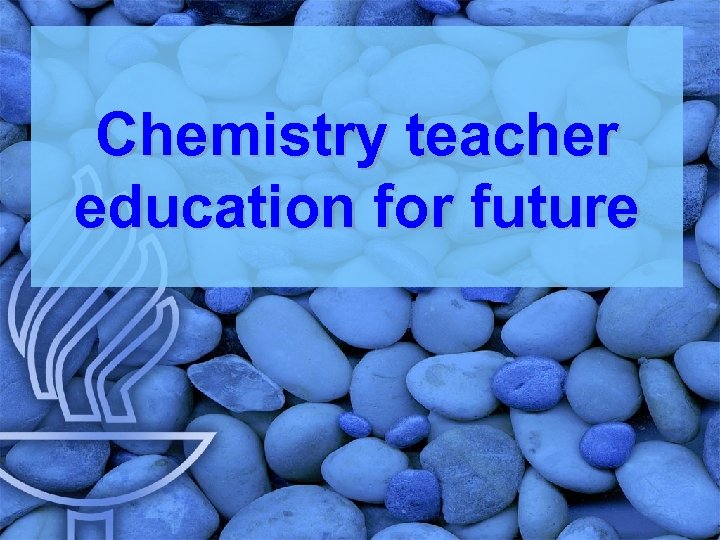 Chemistry teacher education for future 