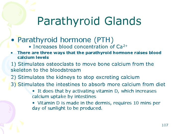 Parathyroid Glands • Parathyroid hormone (PTH) • Increases blood concentration of Ca 2+ •