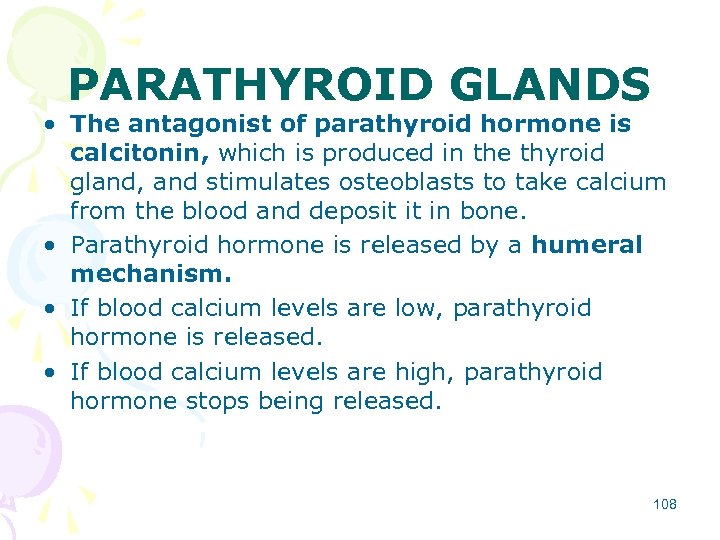 PARATHYROID GLANDS • The antagonist of parathyroid hormone is calcitonin, which is produced in