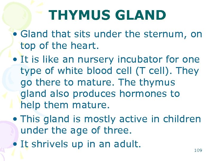 THYMUS GLAND • Gland that sits under the sternum, on top of the heart.