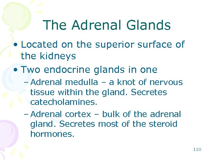 adrenal gland and kidney function