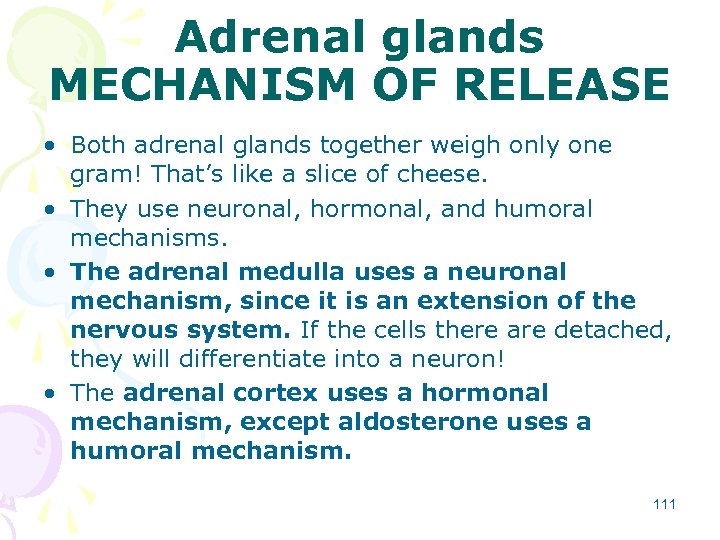 Adrenal glands MECHANISM OF RELEASE • Both adrenal glands together weigh only one gram!